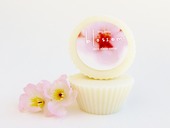Babycake Cleanser 2.jpg