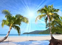 bigstock-Fijian Beach sml-26620721.jpg