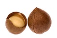 blossomeco-Macadamia-Nuts-3671795