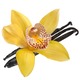 blossomeco-vanilla-orchid-pod-isolated-on-22422155.jpg